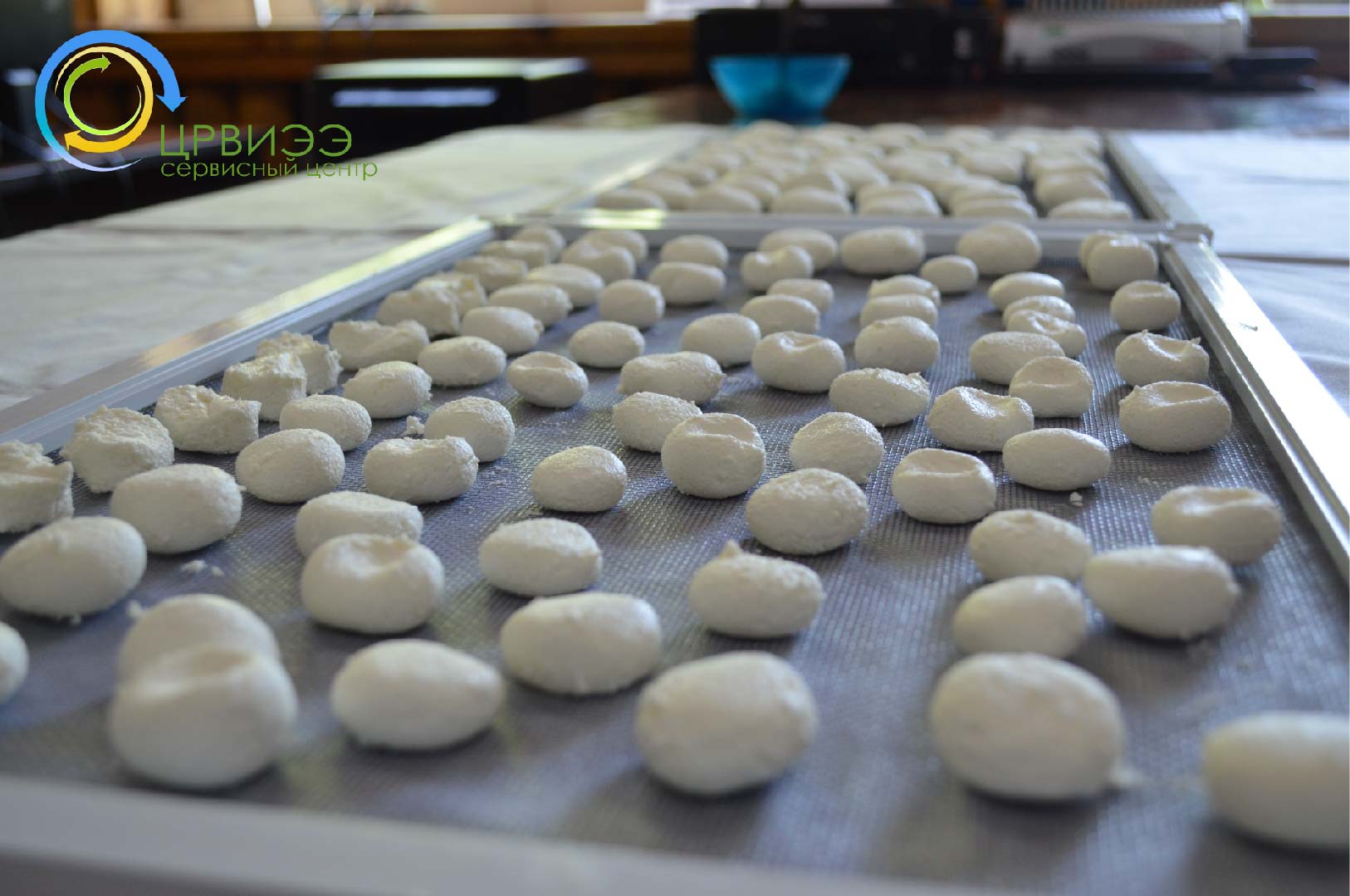 Время сушки! :: Сушим - Курут - Платформа "Зеленая энергия"